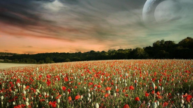 如何评价首个女性友好的编程语言HerCode?